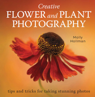 Molly Hollman: Creative Flower and Plant Photography
