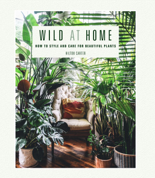 Hilton Carter: Wild at Home