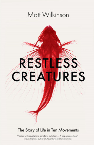 Matt Wilkinson: Restless Creatures