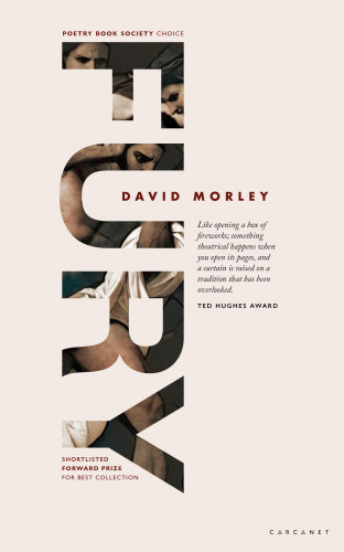 David Morley: FURY