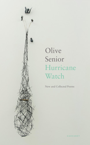 Olive Senior: Hurricane Watch