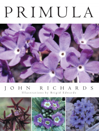 John Richards: Primula