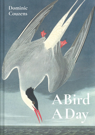 Dominic Couzens: A Bird A Day