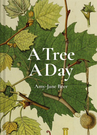 Amy-Jane Beer: A Tree A Day