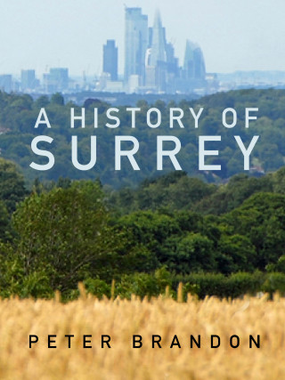 Peter Brandon: A History of Surrey