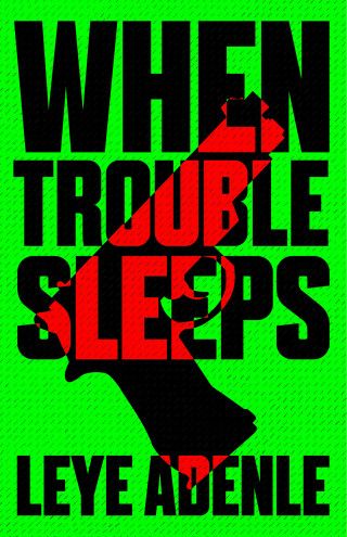 Leye Adenle: When Trouble Sleeps