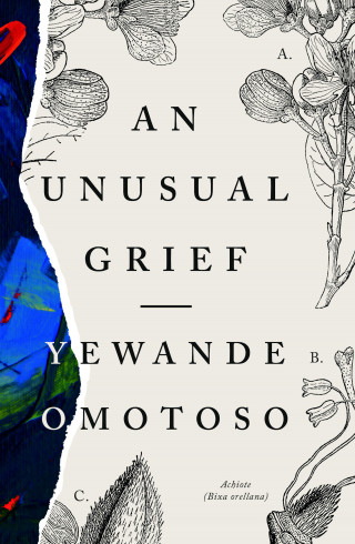 Yewande Omotoso: An Unusual Grief