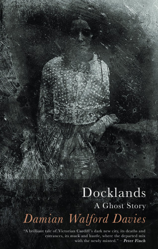 Damian Walford Davies: Docklands