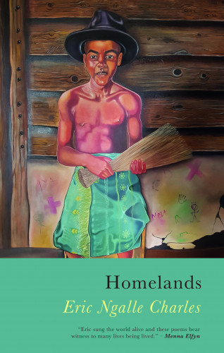 Eric Ngalle-Charles: Homelands