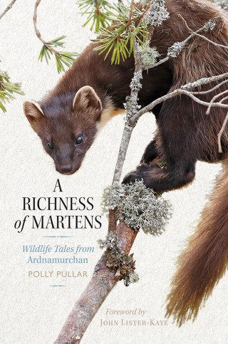 Polly Pullar: A Richness of Martens