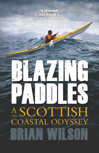 Brian Wilson: Blazing Paddles