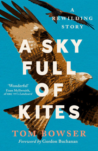 Tom Bowser: A Sky Full of Kites