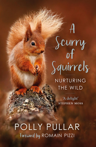 Polly Pullar: A Scurry of Squirrels