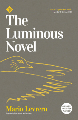 Mario Levrero: The Luminous Novel