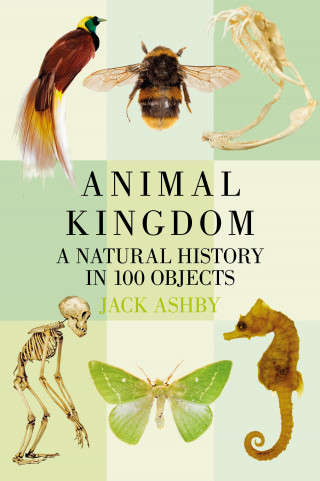Jack Ashby: Animal Kingdom