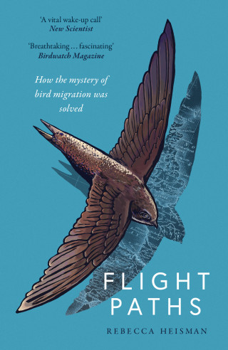 Rebecca Heisman: Flight Paths