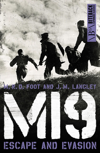 MRD Foot: MI9