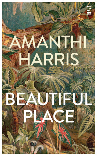 Amanthi Harris: Beautiful Place