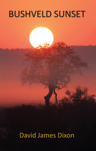 David James Dixon: Bushveld Sunset