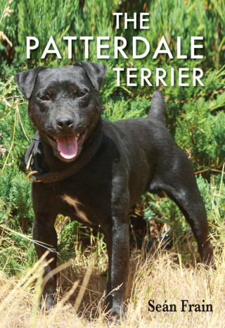 Sean Frain: The Patterdale Terrier