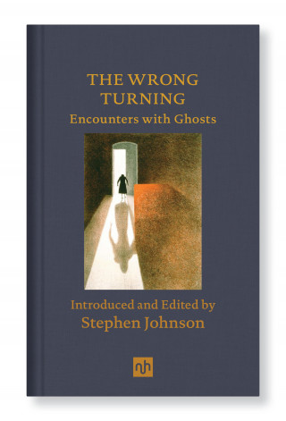 Stephen Johnson: THE WRONG TURNING