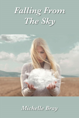 Michelle Bray: Falling From the Sky