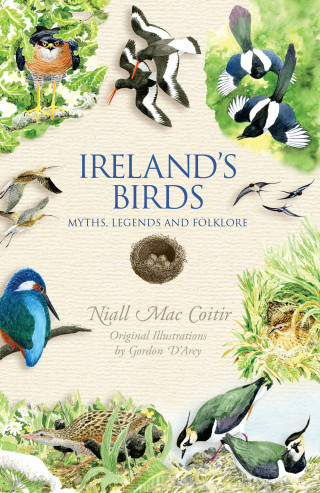 Niall Mac Coitir: Ireland's Birds