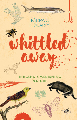 Padraic Fogarty: Whittled Away