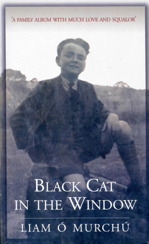Liam Ó Murchú: Black Cat in the Window