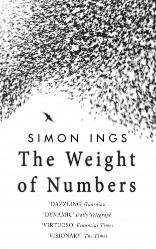 Simon Ings: The Weight of Numbers