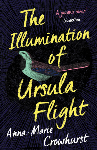 Anna-Marie Crowhurst: The Illumination of Ursula Flight