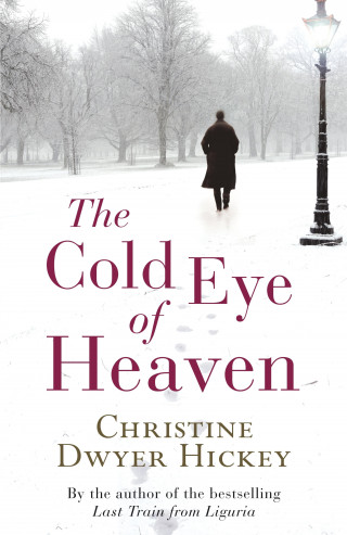 Christine Dwyer Hickey: Cold Eye of Heaven