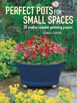 George Carter: Perfect Pots for Small Spaces