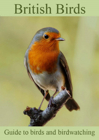 Colin Salter: British Birds