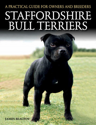 James Beaufoy: Staffordshire Bull Terriers