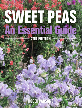 Roger Parsons: Sweet Peas