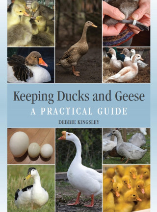 Debbie Kingsley: Keeping Ducks and Geese
