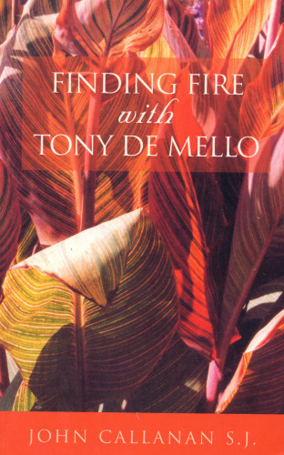 John Callanan: Finding Fire With Tony De Mello
