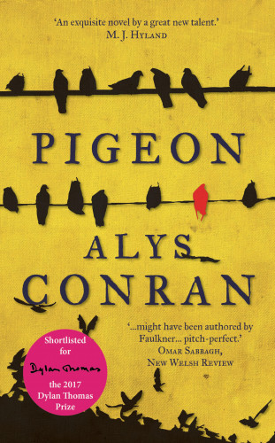 Alys Conran: Pigeon
