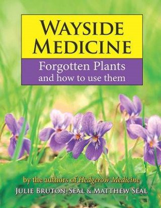 Julie Bruton-Seal, Matthew Seal: Wayside Medicine