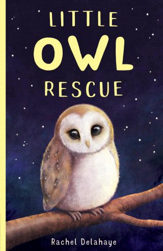Rachel Delahaye: Little Owl Rescue