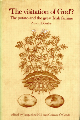 Austin Bourke: The Visitation of God