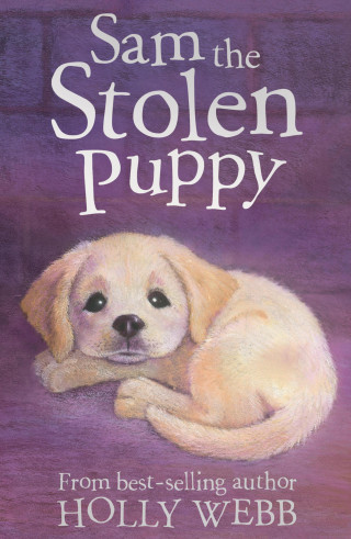 Holly Webb, Sophy Williams: Sam the Stolen Puppy