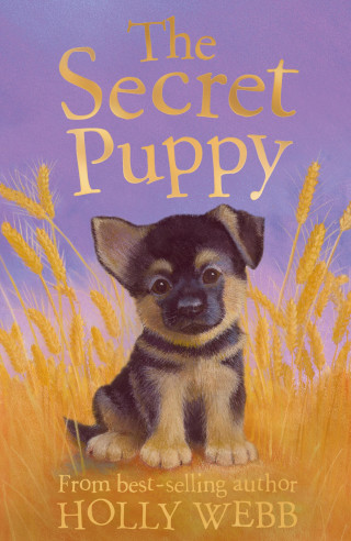 Holly Webb: The Secret Puppy