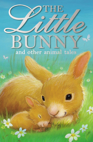 Diverse: The Little Bunny
