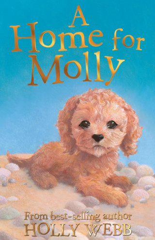 Holly Webb: A Home for Molly