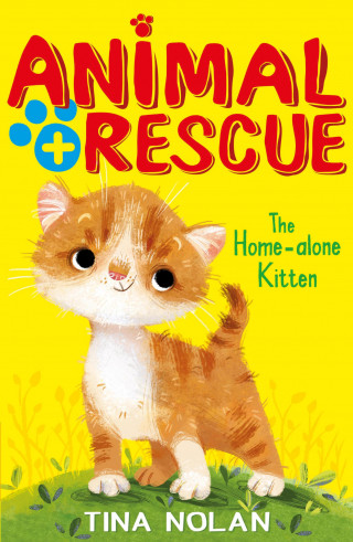 Tina Nolan: The Home-alone Kitten