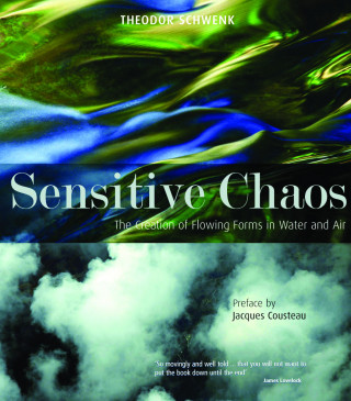 Theodor Schwenk: Sensitive Chaos