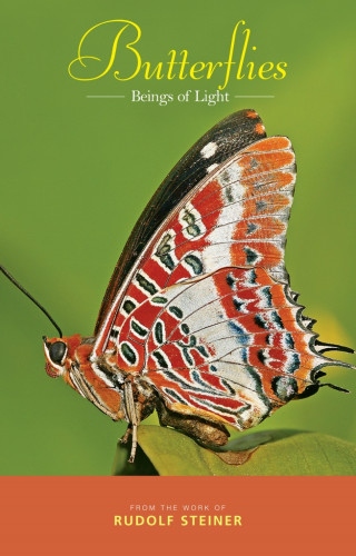 Rudolf Steiner: Butterflies