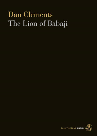 Dan Clements: The Lion Of Babaji